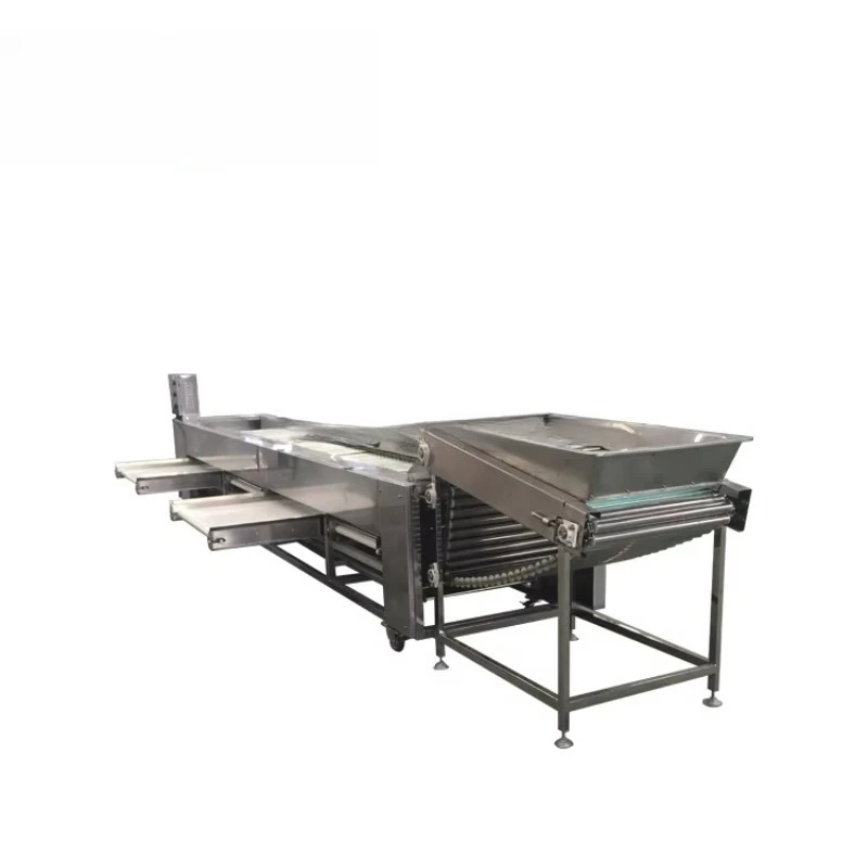 Factory Supply Price Industrial Automatic Roller Grader for Vegetables & Fruits Customization Sorting