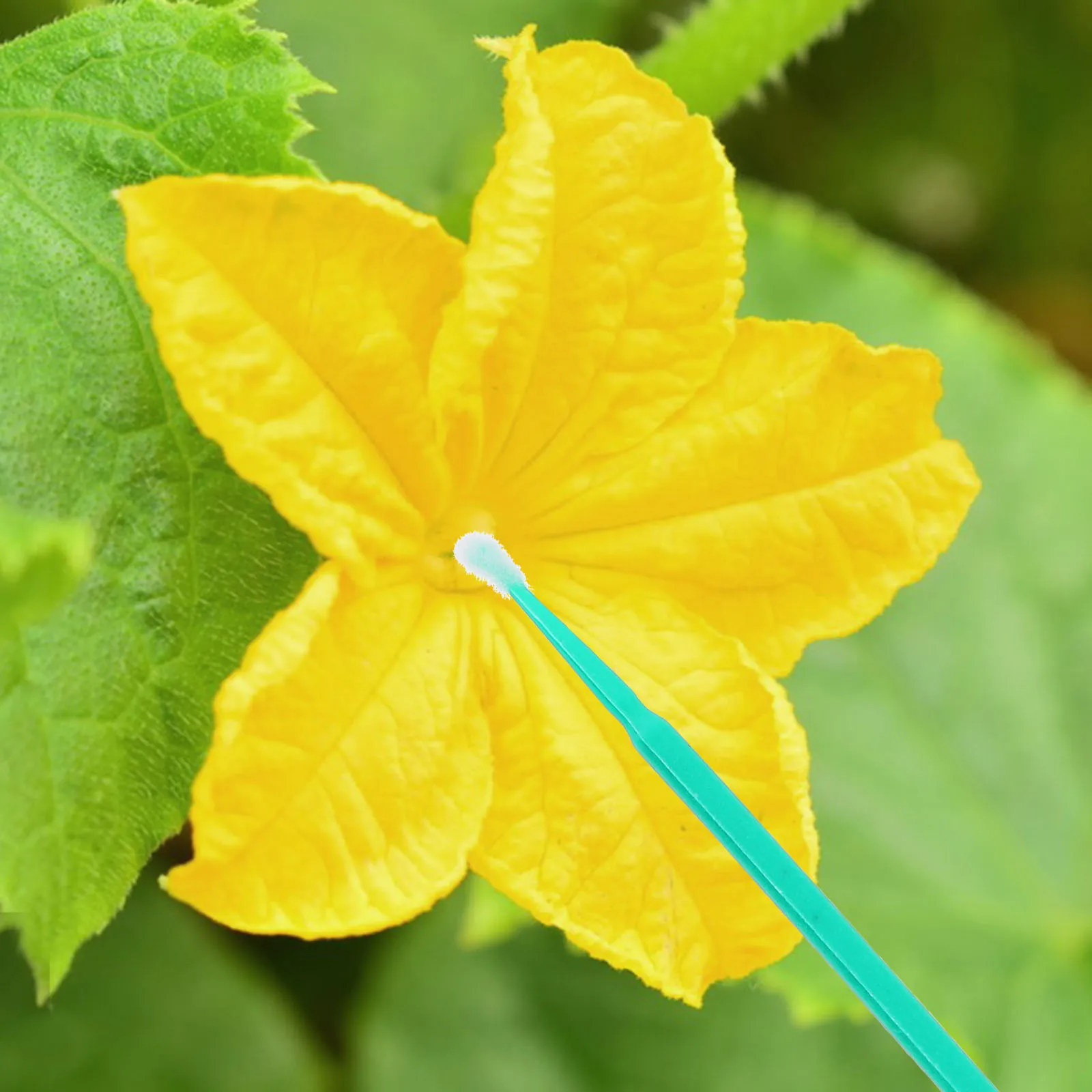 

100 Pcs Chalk Pen Manual Pollinating Tool Flower Pollination Fruit Tree Plant Pollinator Brush Plastic Indoor Brushes Tools