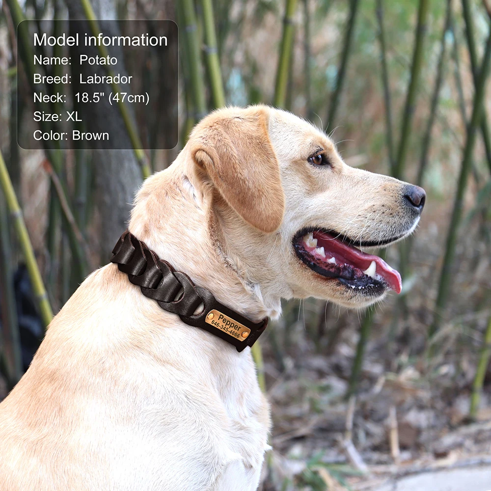 Echtes Leder Hund Kragen Nach Leder Medium Large Hund Halsbänder Personalisierte Pet ID Halsbänder für Hunde Pitbull Gravieren Name – Detail 10