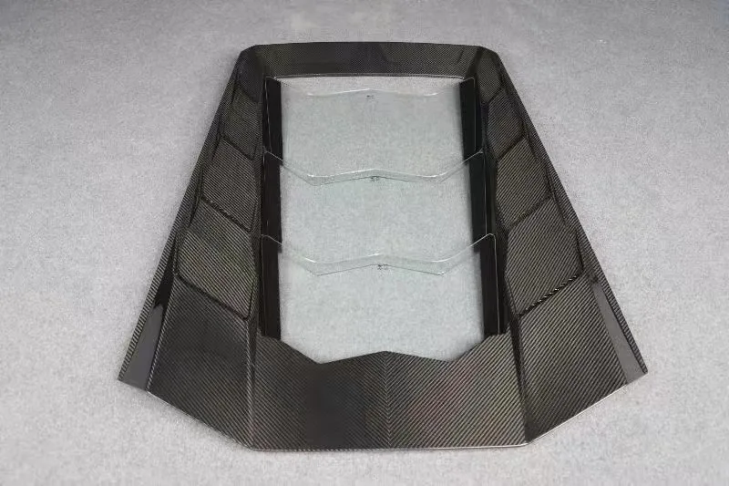 Dry Carbon Fiber Tr… - image