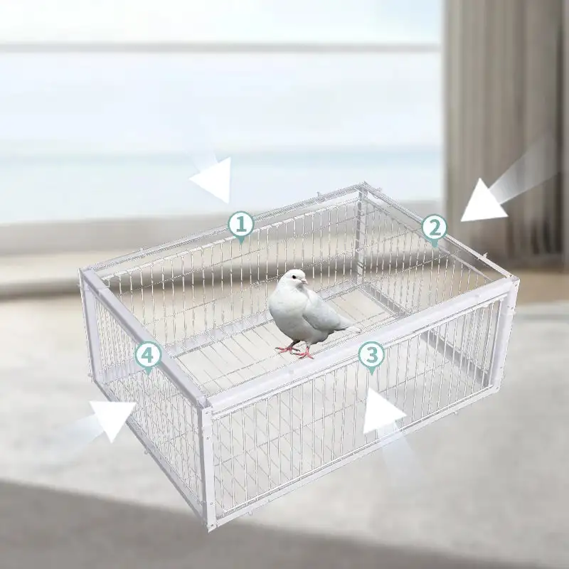 Auto Trap Humane Bird Cage-Entry Only, No Exit, With Base