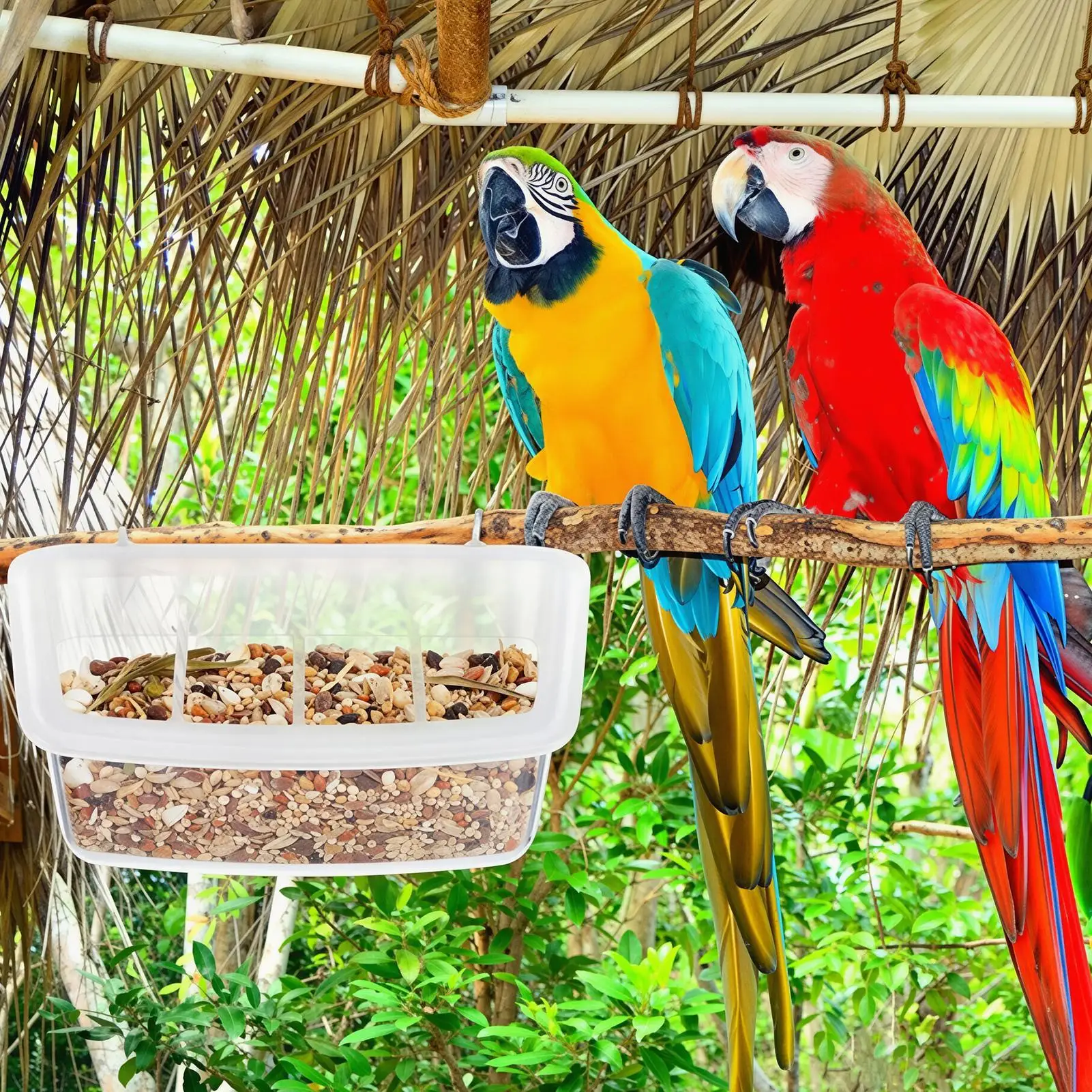 Parrot Feeder Suspensional Multi-Functional Clear Compartment Dispenser Transparent Bird House Food Feeders Lovebird Cockatiel