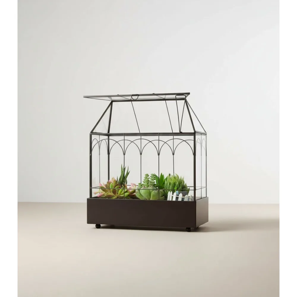 

Large Glass Plant Terrarium with Tray - 11.4 Inch Tall Greenhouse for Succulents, Orchids, Home Decor
