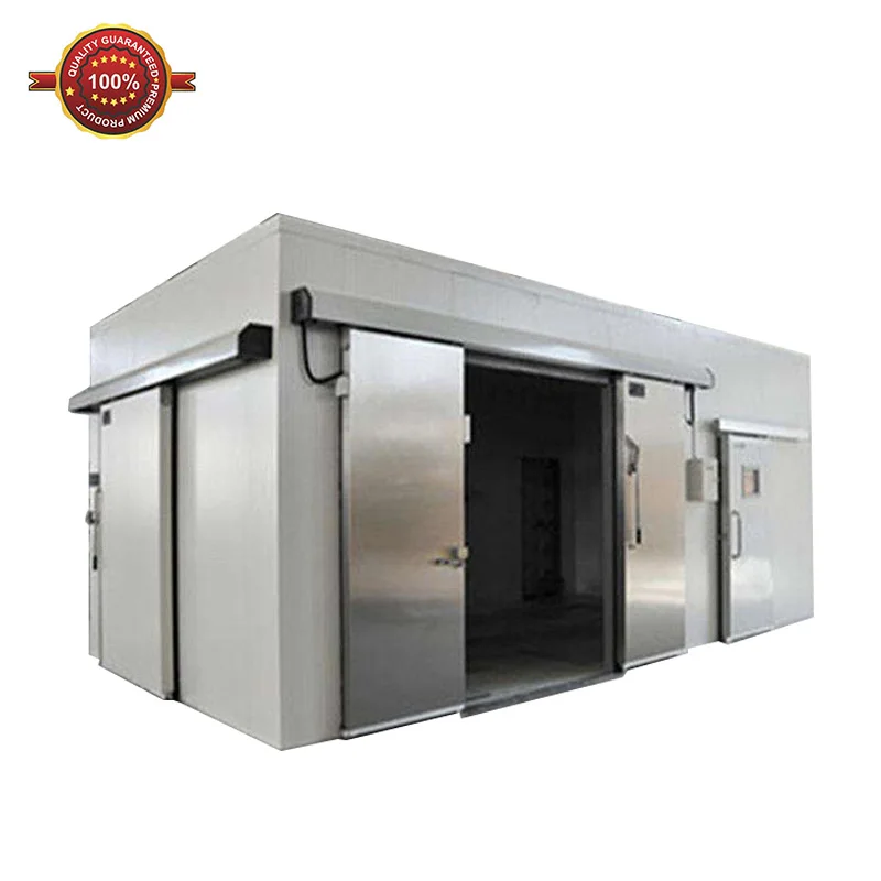 Hot sale mobile container cold storage room refrigerator freezer cold room for ice cream