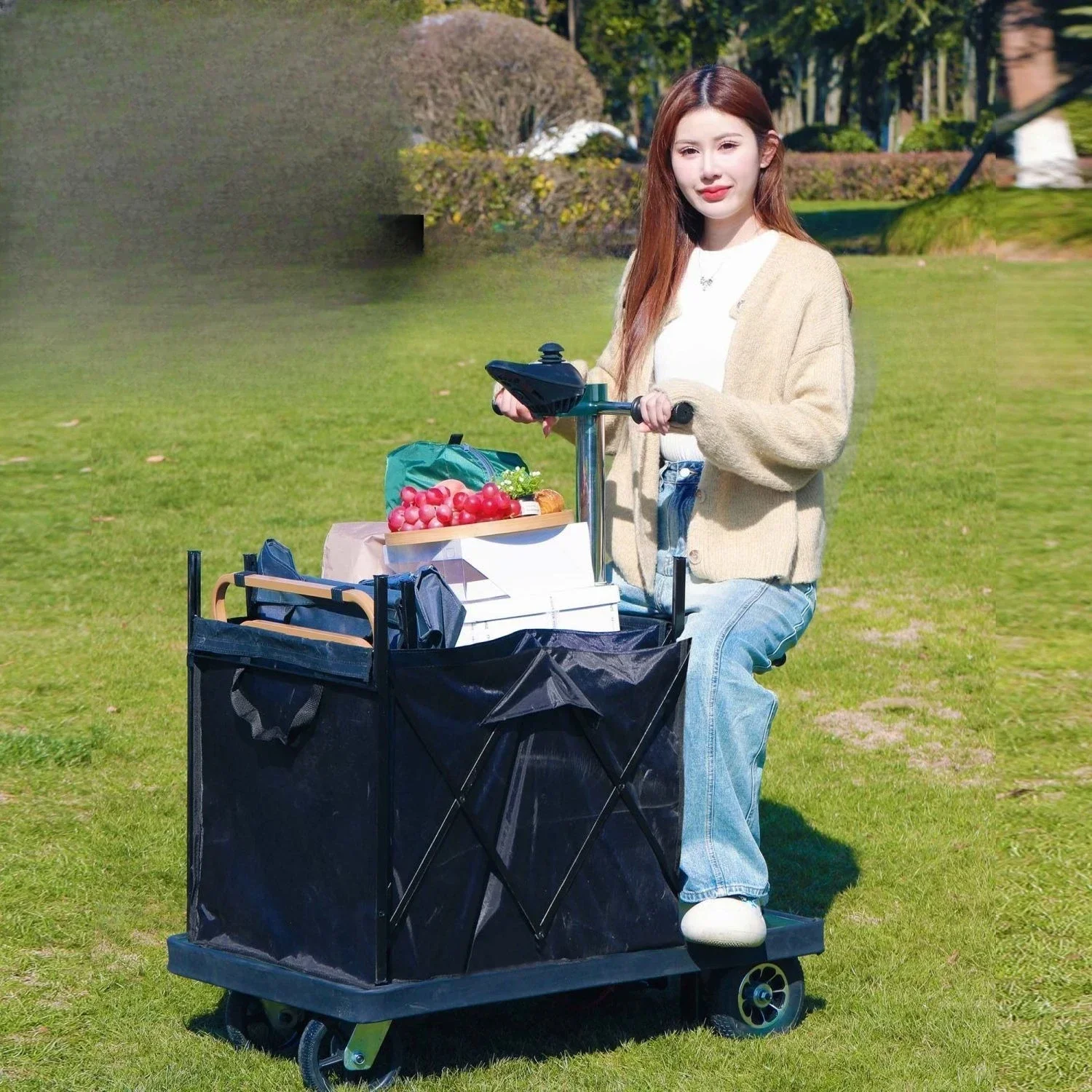Electric remote control camper Portable cart outdoor folding camping picnic cart Stall camping electronically controlled cart