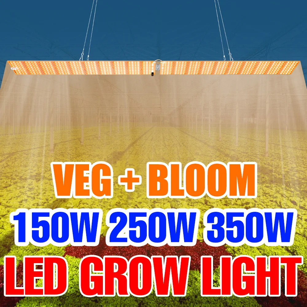 

350 Вт светодиодная квантовая доска, полный спектр света для выращивания растений, тепличная палатка, лампа для выращивания растений, вилка США/ЕС для цветов, помидоров, овощей