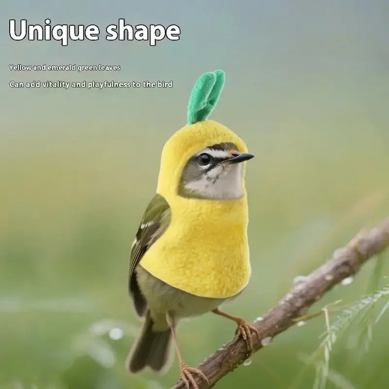 Warm Parrot Bunny Costume 5