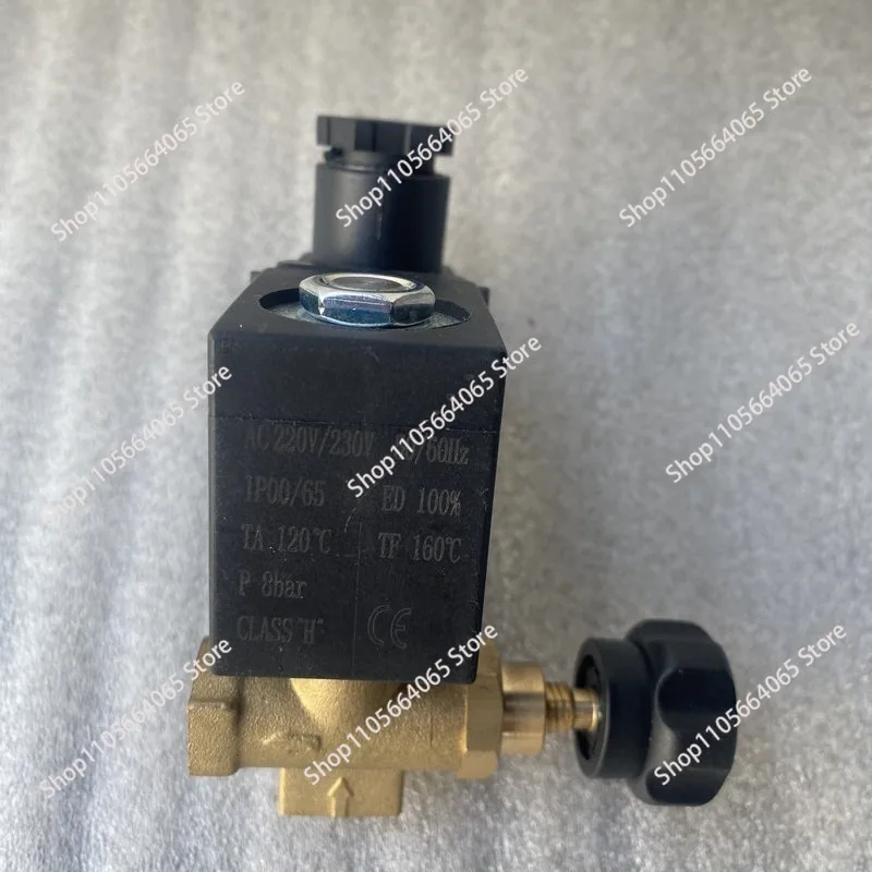 220V/50HZ electric heating steam boiler iron accessories, boiler special solenoid valve