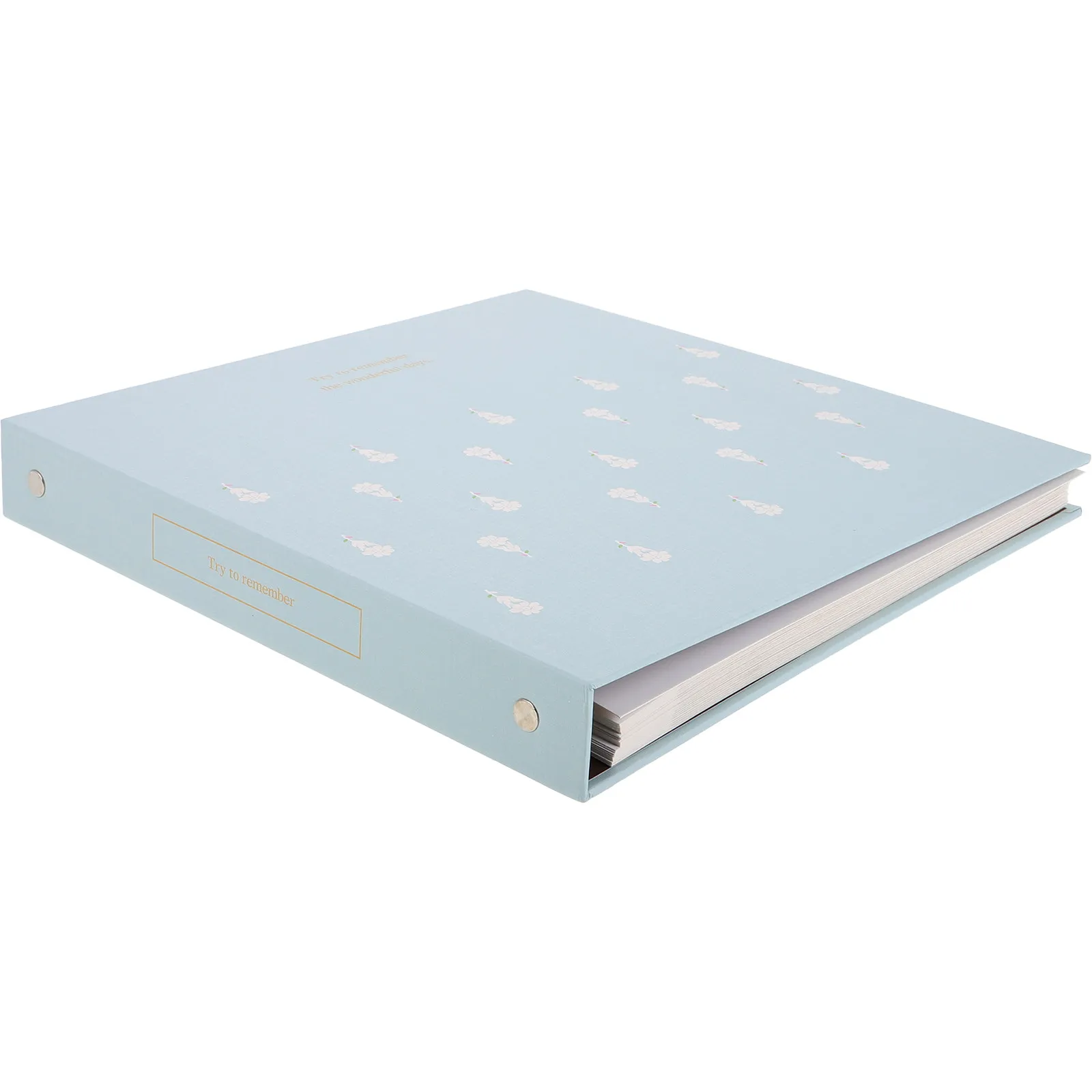 

Plant Specimen Album Lamination Protection DIY Scrapbooking Storage Loose Leaf Crafting Flowers Leaves Collection