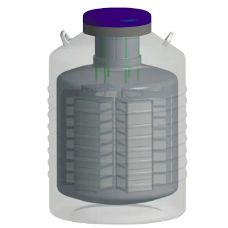 50L Aluminum Liquid Nitrogen Tank with 6PCS 5*5 Rack for Laboratories YDS-50-125 Frozen Sperm Container Semen Dewar Tank