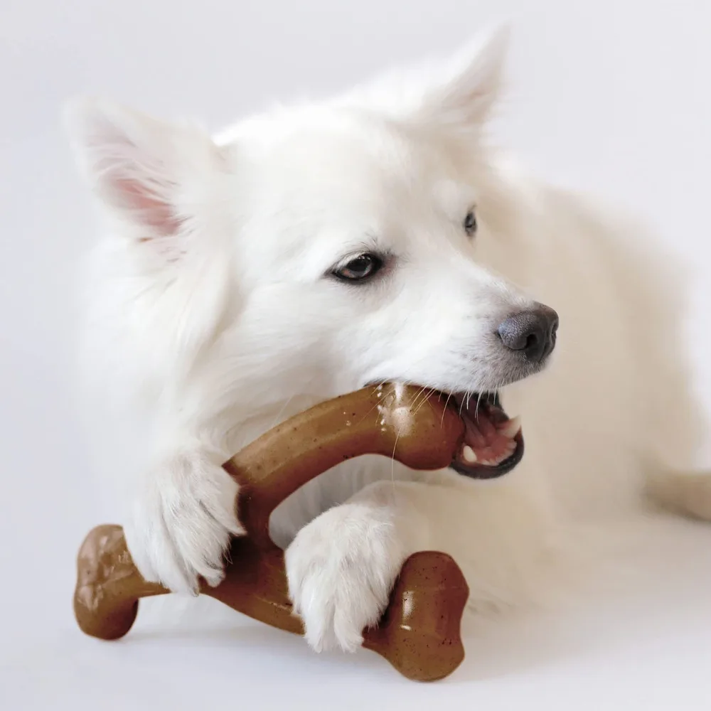 

Игрушка для жевания собак для агрессивного жевания, настоящий вкус бекона, прочная нейлоновая кость, здоровье зубов для собак