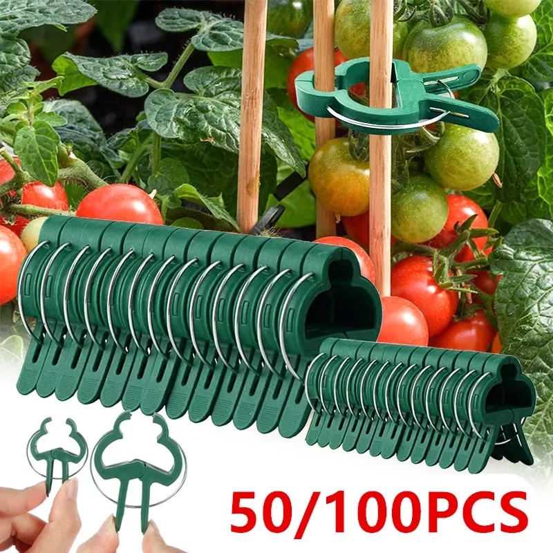 50/100 Stück Gartenpflanzen-Clips, wiederverwendbare feste Pflanzen-Clips, Größe 2 für Gewächshäuser, Gemüse, Blumen, Stiel, Ranken, Traubenklemmenverschluss