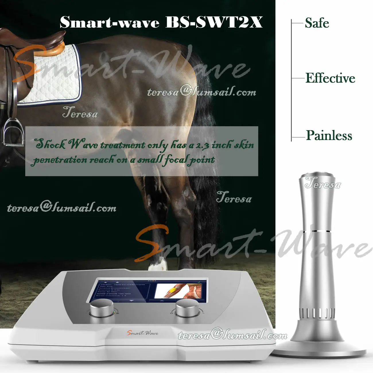 Veterinary equipment Shockwave Physiotherapy for horse and small pets therapy BS-SWT2X