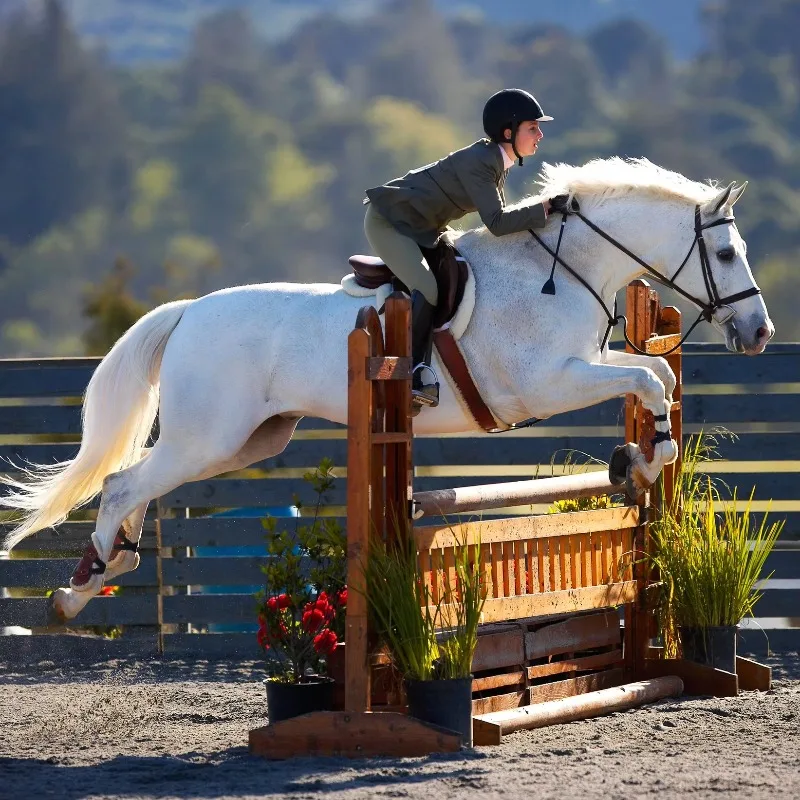 

High Quality PVC Horse Jump Poles Soft Plastic Jumping Barriers for Training Horse Riding Bits Included Le Cheval Sauter