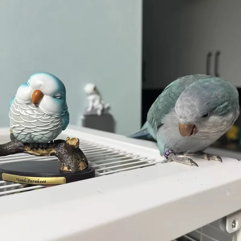 Caliente Original loro simulación Animal Mini Qversion figura de acción modelo juguete regalo ornamento arte Toyartoon personaje colección juguete
