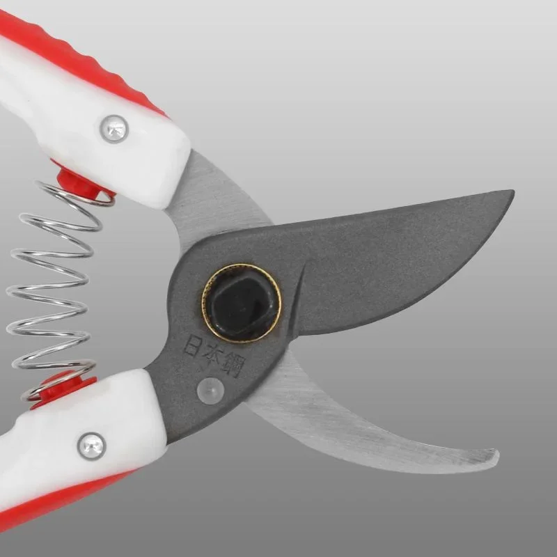 

Ножницы для садовых деревьев, ножницы для обрезки садовых деревьев, высокое качество, секаторы для бытовой фермы могут разрезать ветки