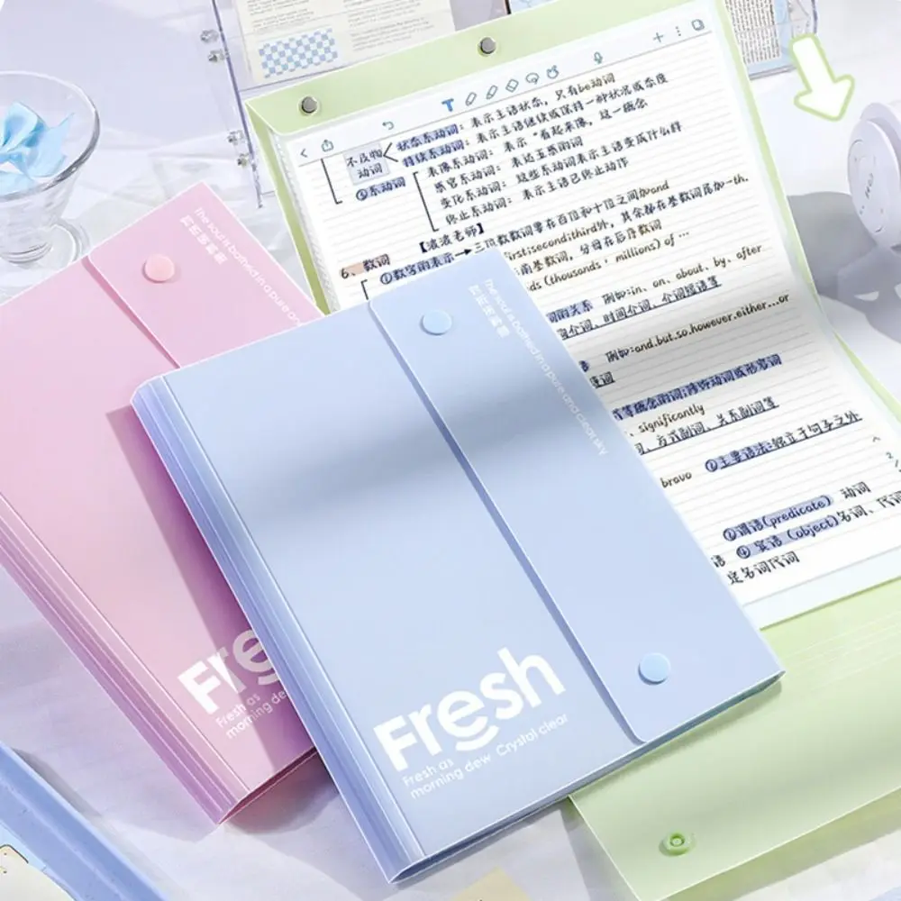 Cartella Portadocumenti A4 in PP, Design Pieghevole, Impermeabile, per Test e Ritorno a Scuola