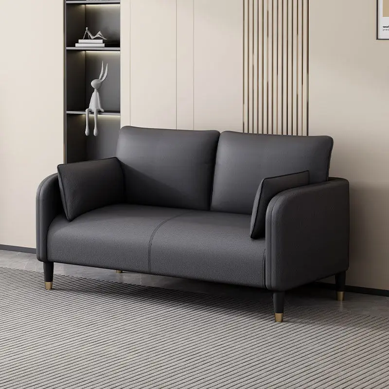 Living room fabric sofa, small apartment, simple small sofa