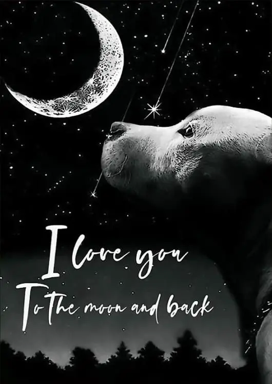 Pitbull I Love You To The Moon And Back Aluminum Signs Funny Tin Sign Metal Art Poster Gift Home Cafe Bar Wall Decor Room Door A