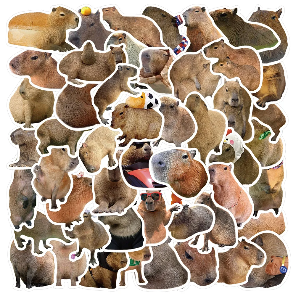 50 Stücke Nette Capybara Tiere Graffiti Aufkleber DIY Telefon Gitarre Laptop Notebook Koffer Wasserdicht Cartoon Aufkleber Kinder Spielzeug