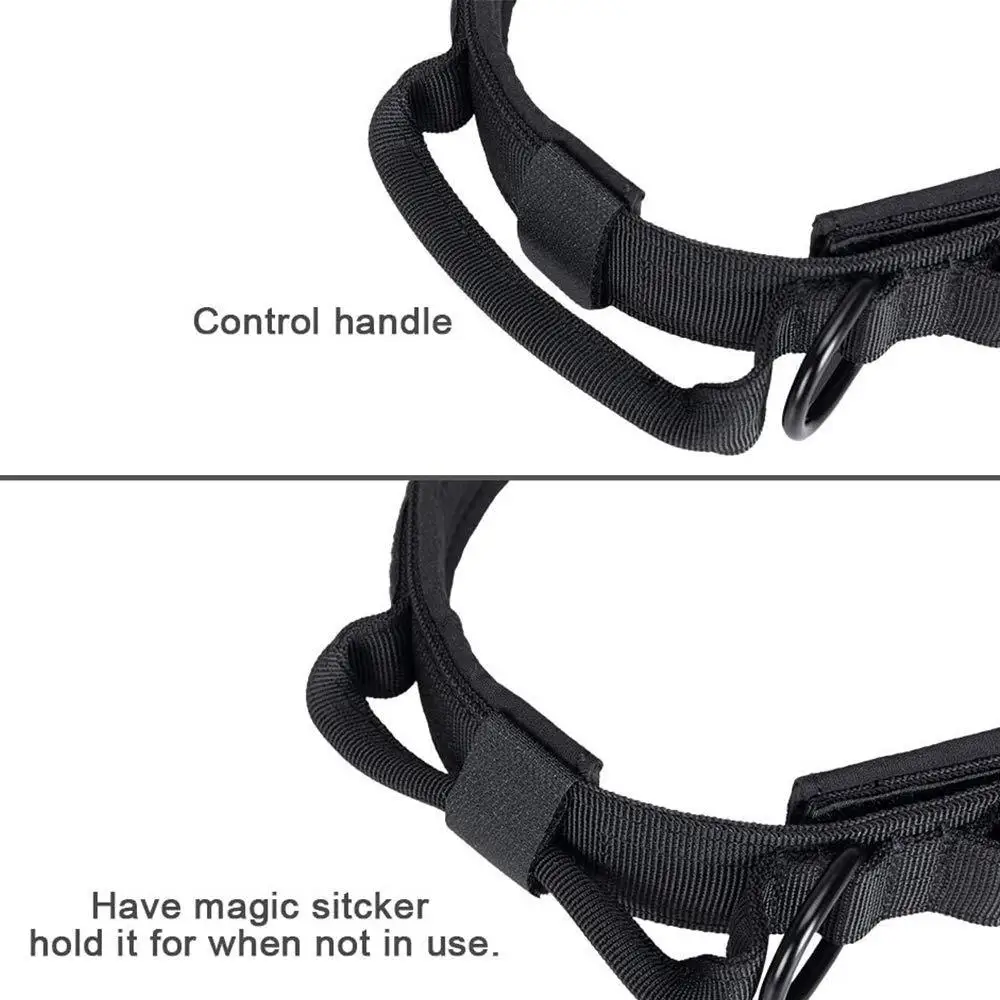 Thumbnail 4 - #20 Latest Dog Muzzles Offers