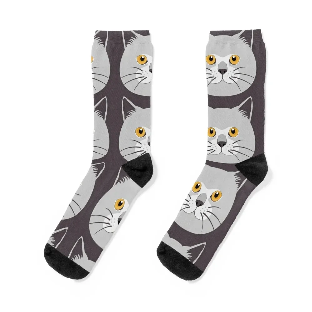 Calzini British Shorthair Cat Head Calzini da calcio antiscivolo antiscivolo da donna e da uomo