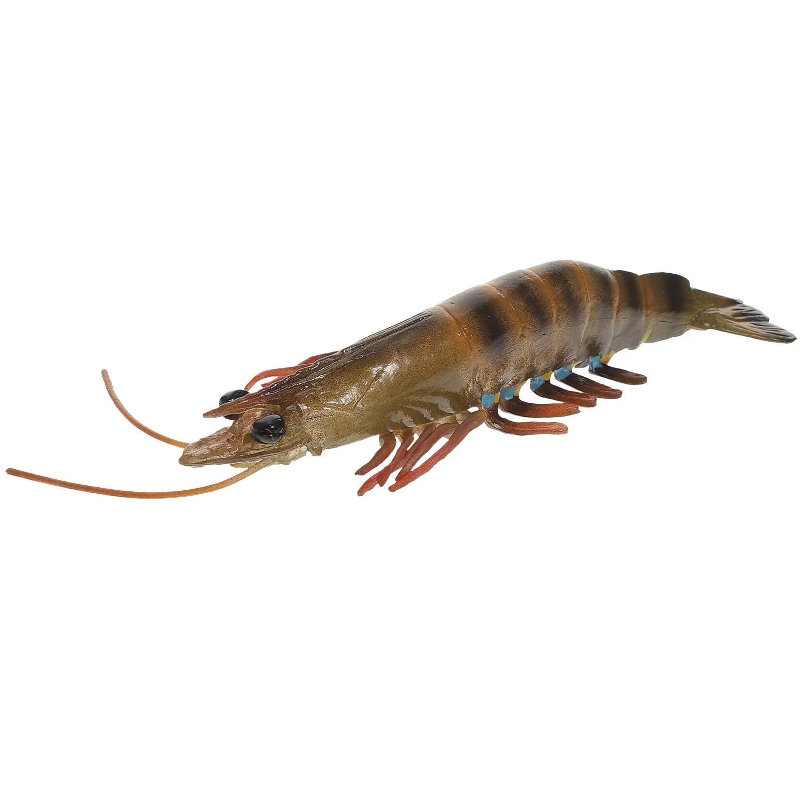 

Educational Fake Shrimp Simulation Plastic Kids Plaything Learning Accessory Realistic Shrimp Household Supply