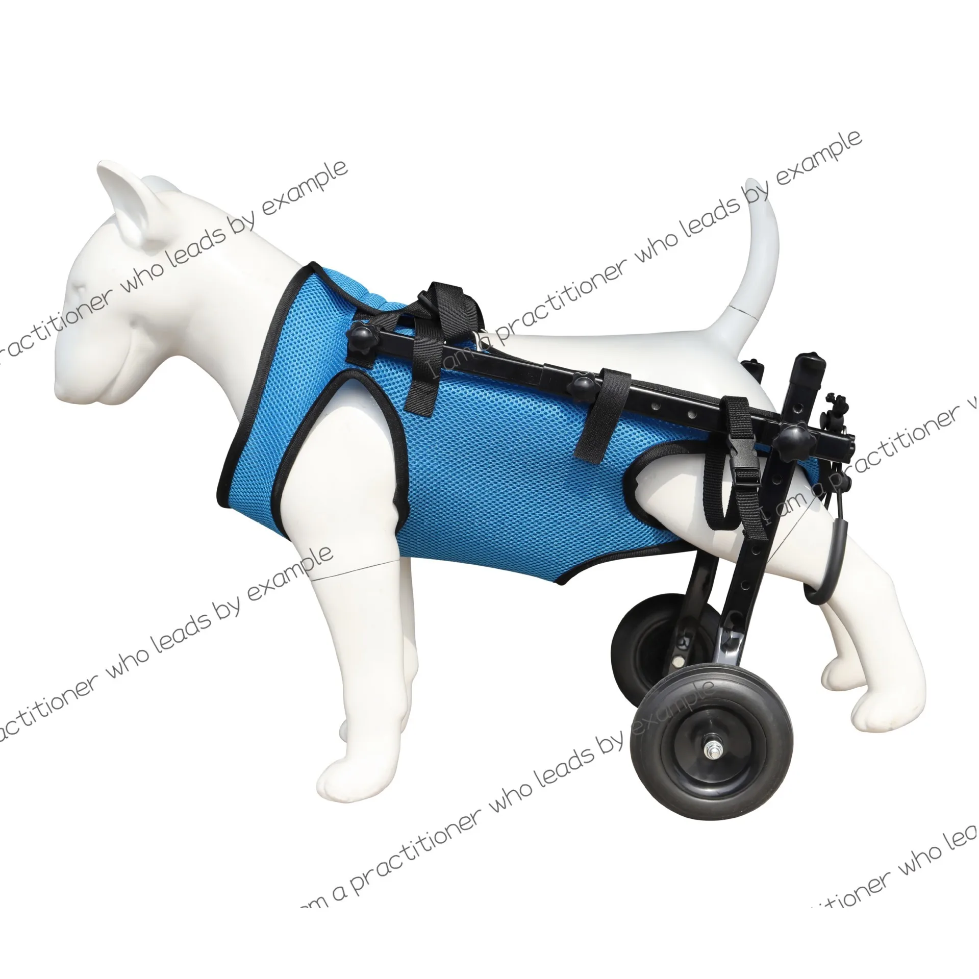 Pet trolley dog trolley dog assisted walking hind limb walking inconvenience assisted car