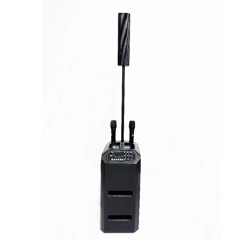 Outdoor Tower Speakers Professional Karaoke Speakers Portable Cinema Sound System Active Power Line Array Speakers