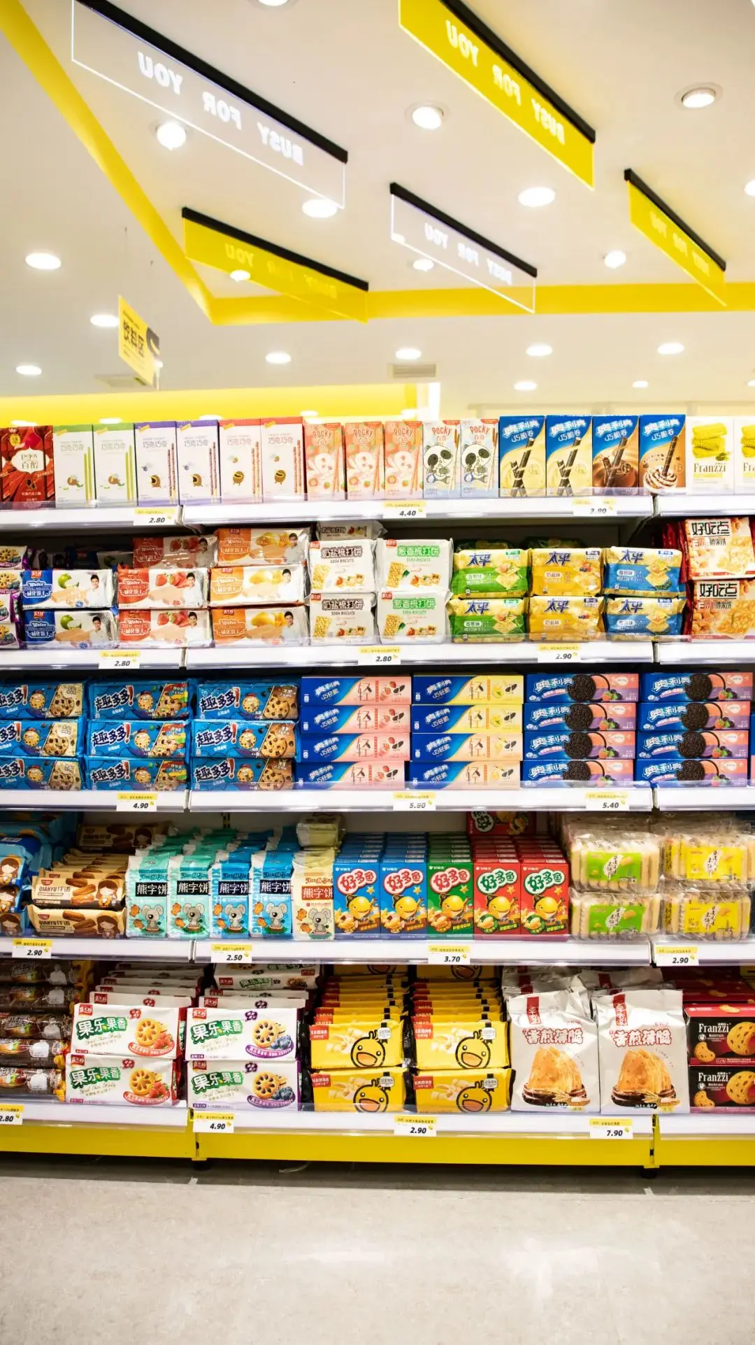 

Metal Steel Gear Digital Servo 75KG Brushless Servo Waterproof for RC Car Crawler 1/8 1/10 SCX10 TRX4 Truck Robot Upgrade Parts