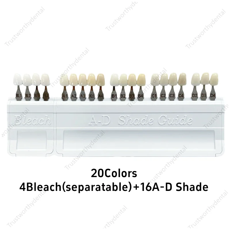 Dental Teeth Shade Guide 20 Shades Porcelain 4 Bleach Shade+ 16 A-D Shade Artificial Teeth Natural