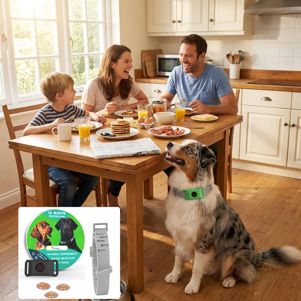 

Multi-Pet Household Pet Daily Care Collar Tag Set for Small Medium and Large Dogs & Cats Comfortable Wearing Dropshipping