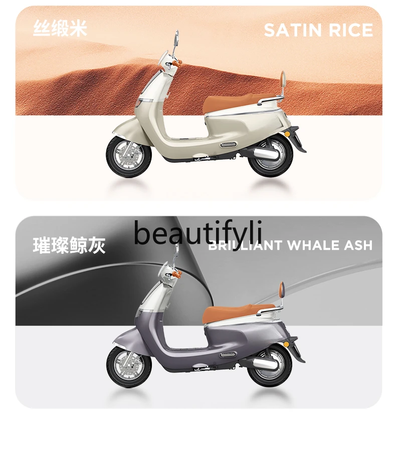 2024 new smart high-power men's and women's commuting fashion electric motorcycle lightweight five-color