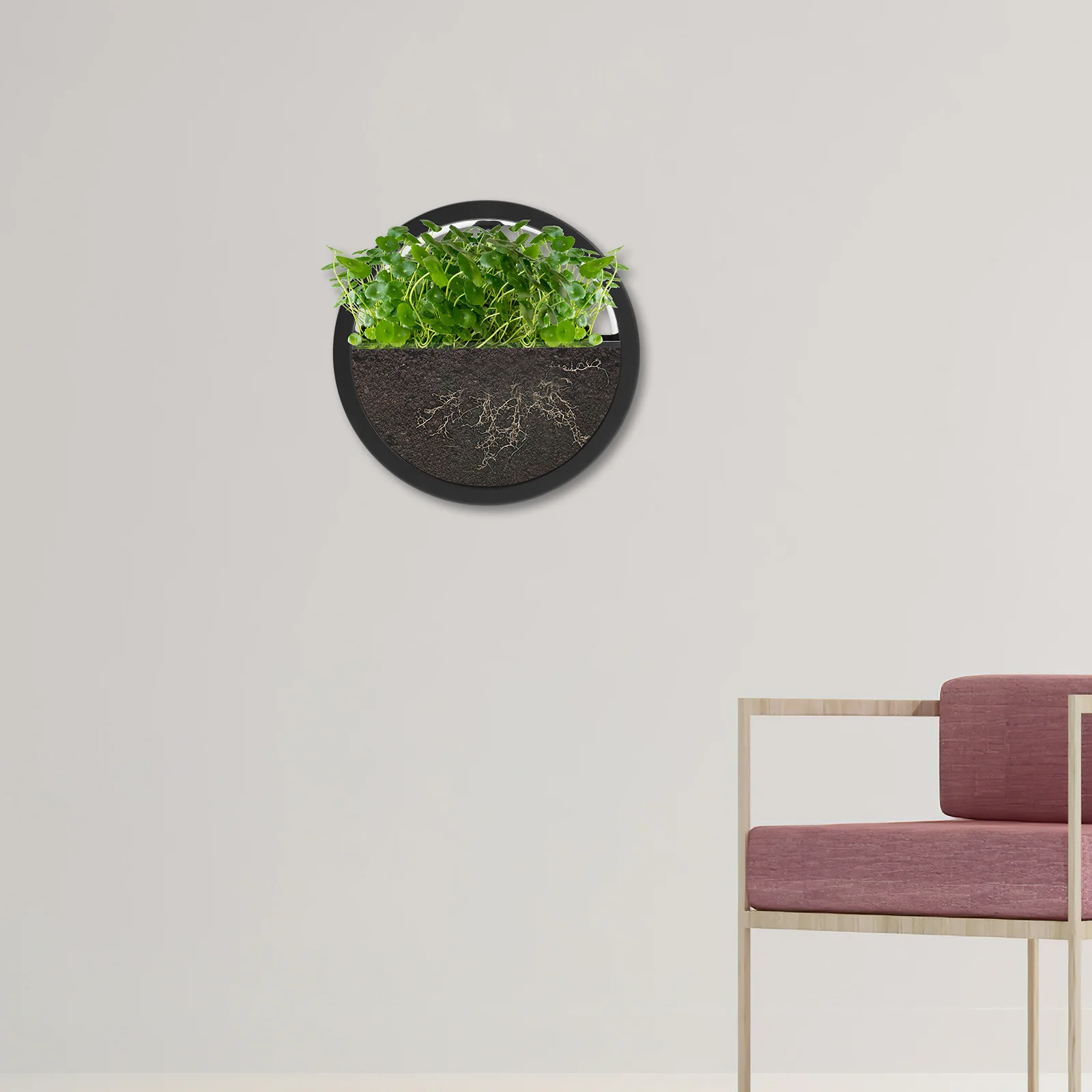 

Fashion Round Wall Hanging Flower Pot Medium Size Grey Adhesive No Trace Wall Decor Office Home Decorative Flowerbasket