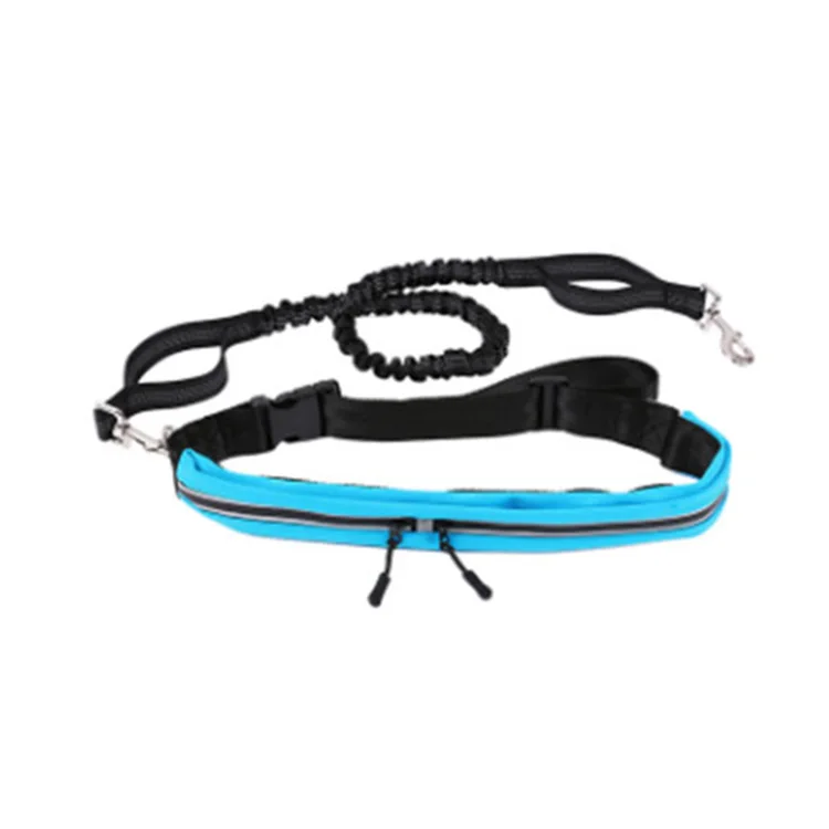 

Simple Design Pet Durable Harness And Leash Set Long Dog Leash Nylon Reflective Hands Free Dog Bungee Leash