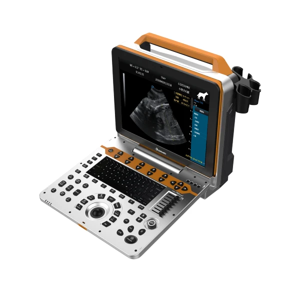 Professional Color Doppler Ultrasonic Diagnostic System Portable Veterinary Medical Ultrasound Instruments