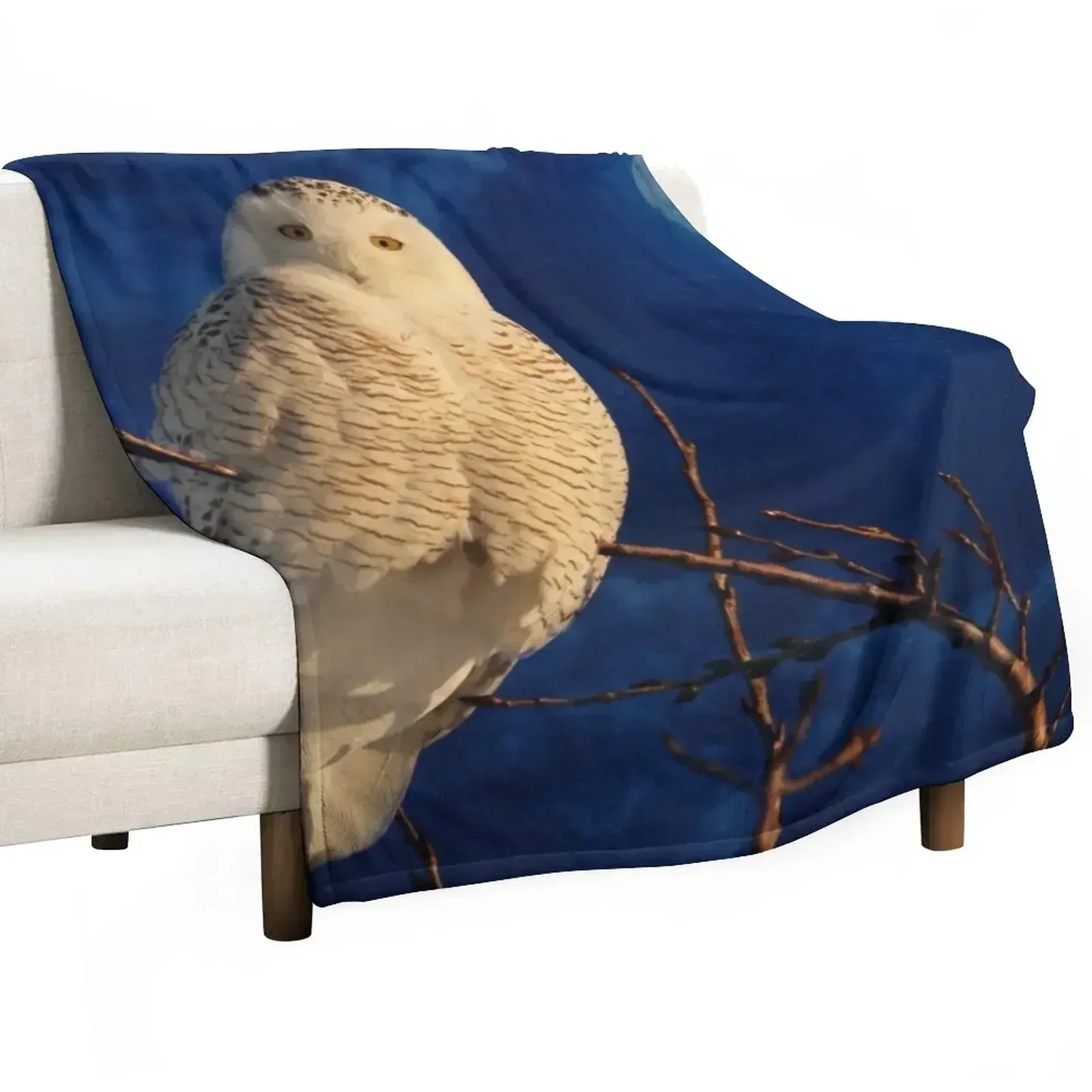 The owl and the mystical moon Throw Blanket wednesday christmas decoration Heavy Warm decorative Hairys Blankets