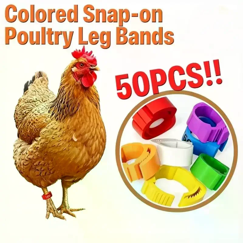 Adjustable Chicken Leg Identification Rings 100 Pcs Non Toxic No Number Buckle for Farm Poultry Duck Goose Feeding