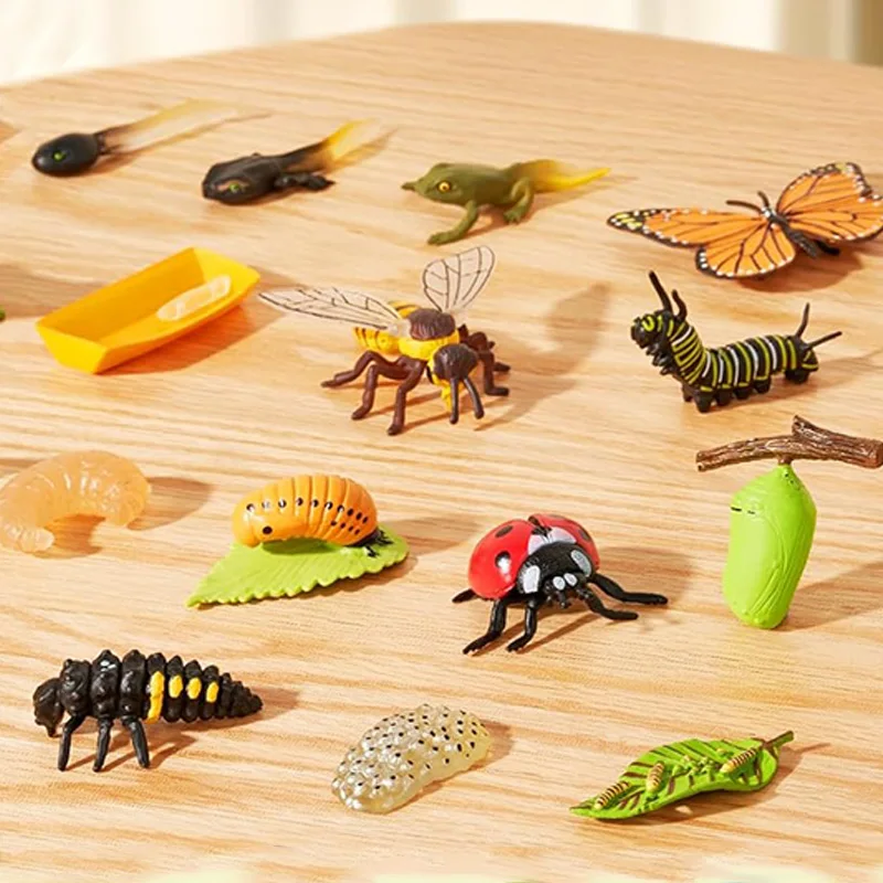 Mini Animal Life Cycle Plant Animal Growth Cycle Model Set School Biology Teaching Tools Biomimetic Desktop Ornament TMZ