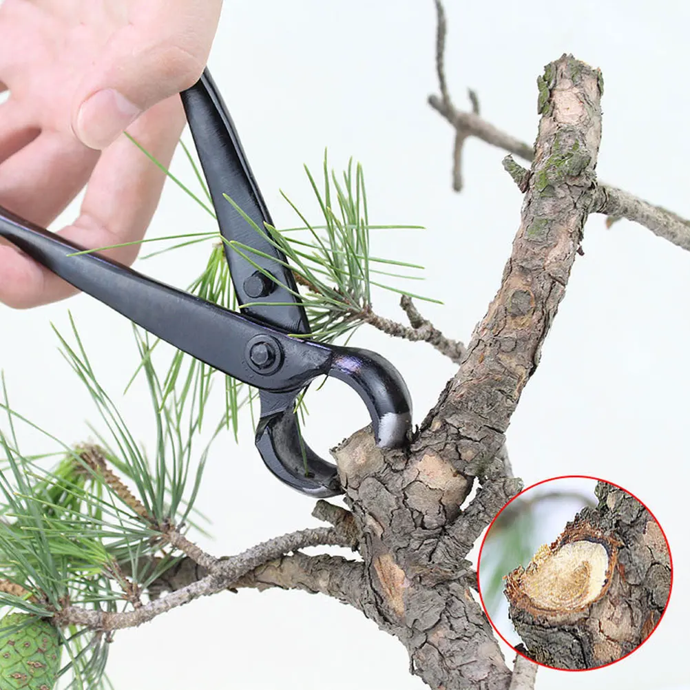 

High Carbon Steel Bonsai Knob Circular Concave Edges Garden Pruning Tools Shears for Tree Shrubs Small Trees Branches