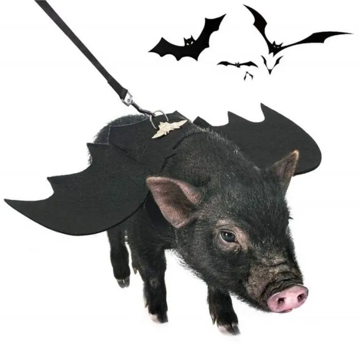 Halloween Costume for Dogs Pet Bat Wings Cat Dog Bat Costume Wings Dress Up Pet Accessories Party Pet Costume Puppy Wing