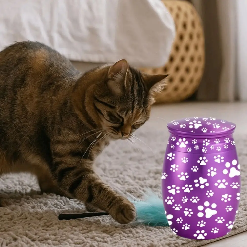 

Memorial Gift Paw Print Mini Pet Ashes Box Seal Anti Fall Pet Commemorative Box Waterproof Moisture-proof Pet Urn Home Memorial