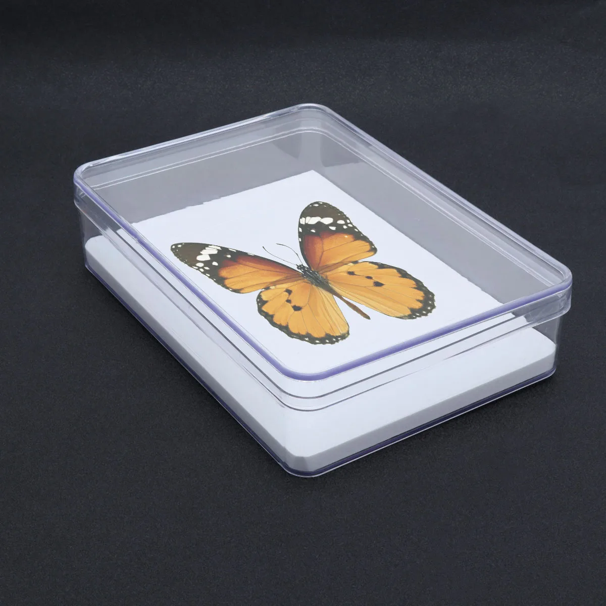 

1Pcs Specimen Box Transparent Display Case Durable Storage for Insects Jewelry Coins Small Photos 210x150x50 Display Box