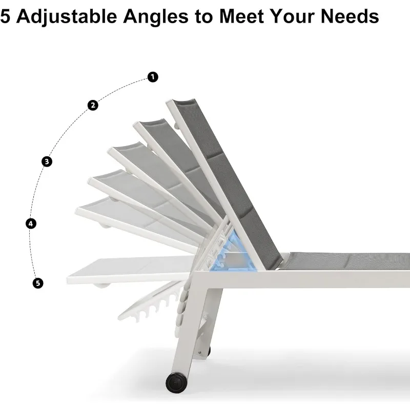 PURPLE LEAF Sillón Piscina Chaise Lounge Exterior Gris 2 Juegos