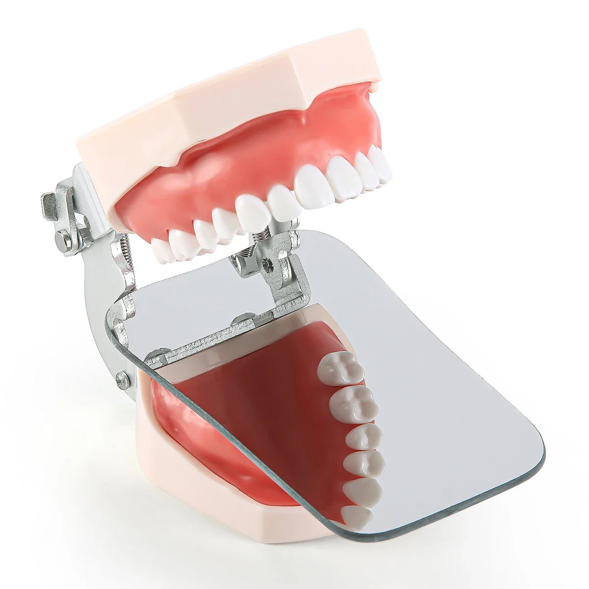 Dental Orthodontic Photo Mirror Double-Sided Glass Reflector for Intraoral Photography, Dentist Diagnostic & Documentation Tool - Image 5
