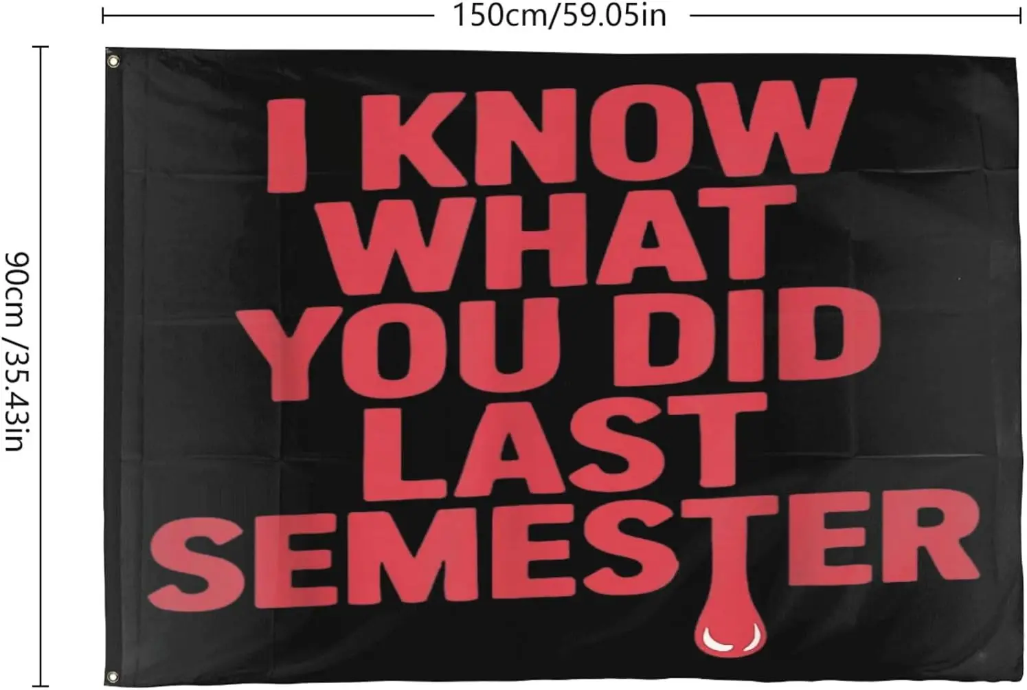 Flagicts 100% Polyester I Know What You Did Last Semester Flags