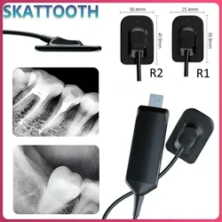 Dental Sensor X-Ray HD Image Intraoral Digital System RX Sensor Portable X Ray Sensor Radiovisiograph USB 2.0 Dental Instrument
