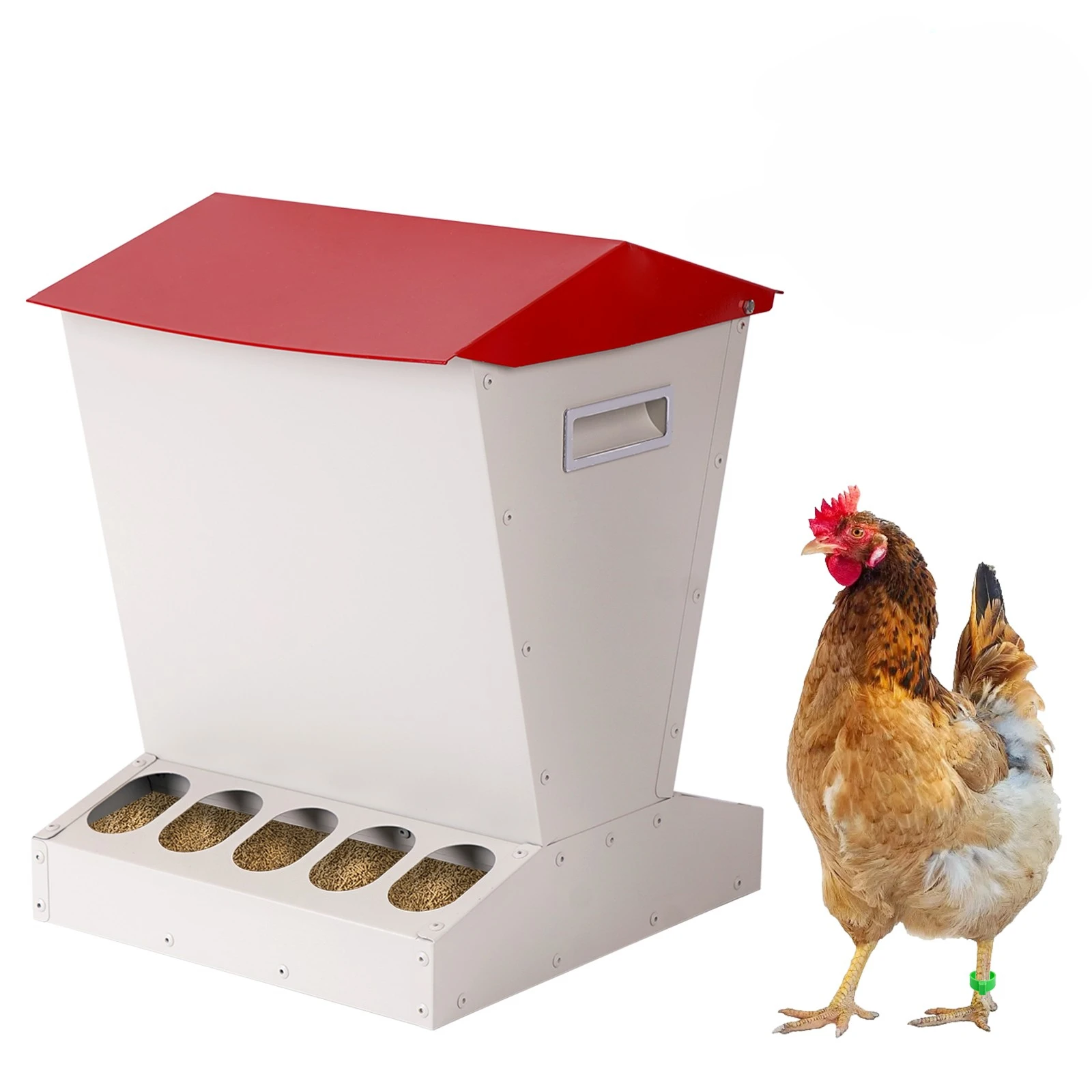

New Arrive Chicken Feeders Automatic Poultry Feeders for Chicken Duck 10 Holes Chicken Feeding Trough