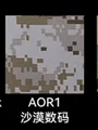 AOR1