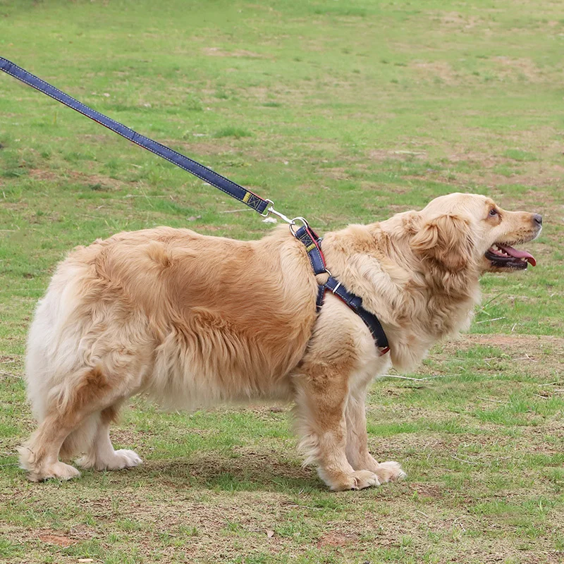 New dog strap Adjustable collar set Cowboy pet Lead vest Small large extra large for walking training